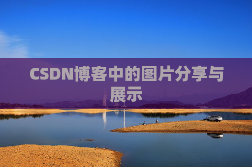 CSDN博客中的图片分享与展示